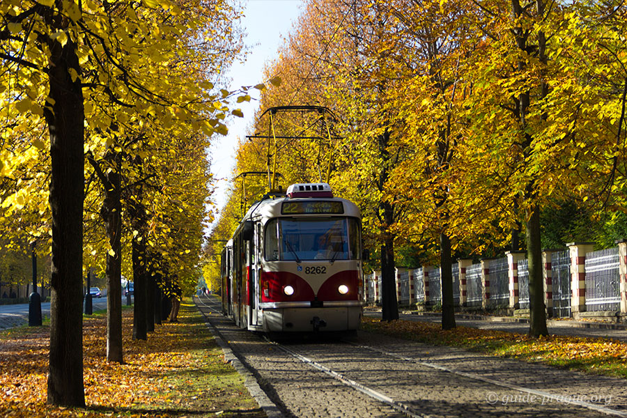 Prague Public Transport