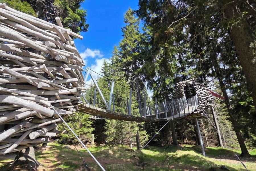 Elevated wooden walkway and nest-like structures in a forest playground in Krkonoše.