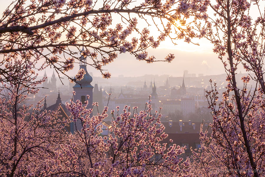 Photo of the view from the Seminary Garden in Mala Strana, Prague.